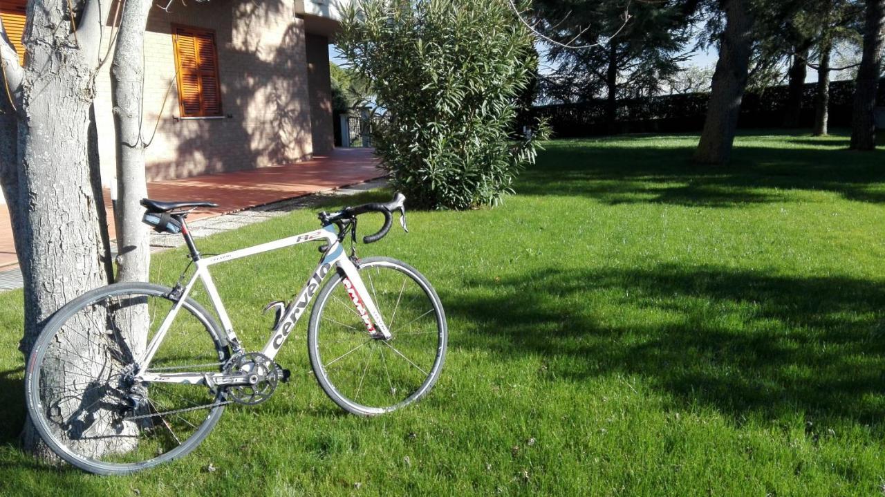 Country House Bike Friendly Famiglia Belleggia Lägenhet Porto SantʼElpidio Exteriör bild