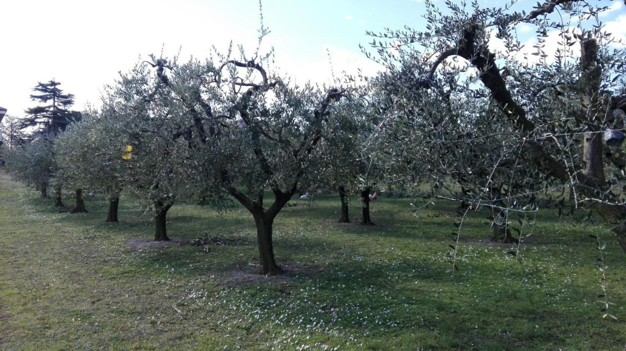 Country House Bike Friendly Famiglia Belleggia Lägenhet Porto SantʼElpidio Exteriör bild